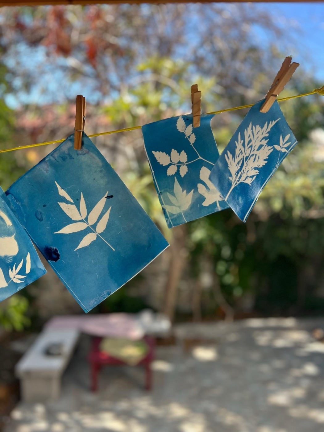Blue cyanotype prints of leaves hanging from a line with wooden pegs