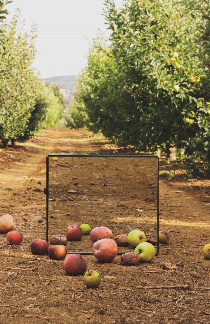 A single apple on a mirrored cube in the orchard